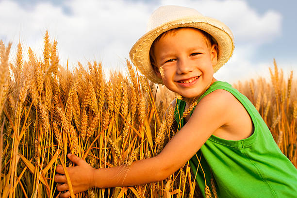 Little boy embracing wheat on the field on summer day.