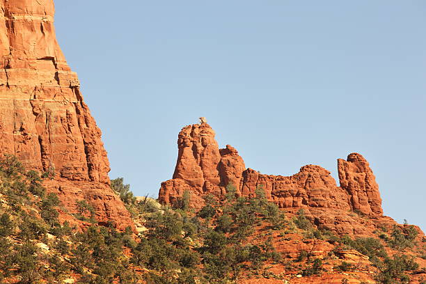 스누피가 레드 바위산 사막 언덕 - red rocks rock canyon escarpment 뉴스 사진 이미지