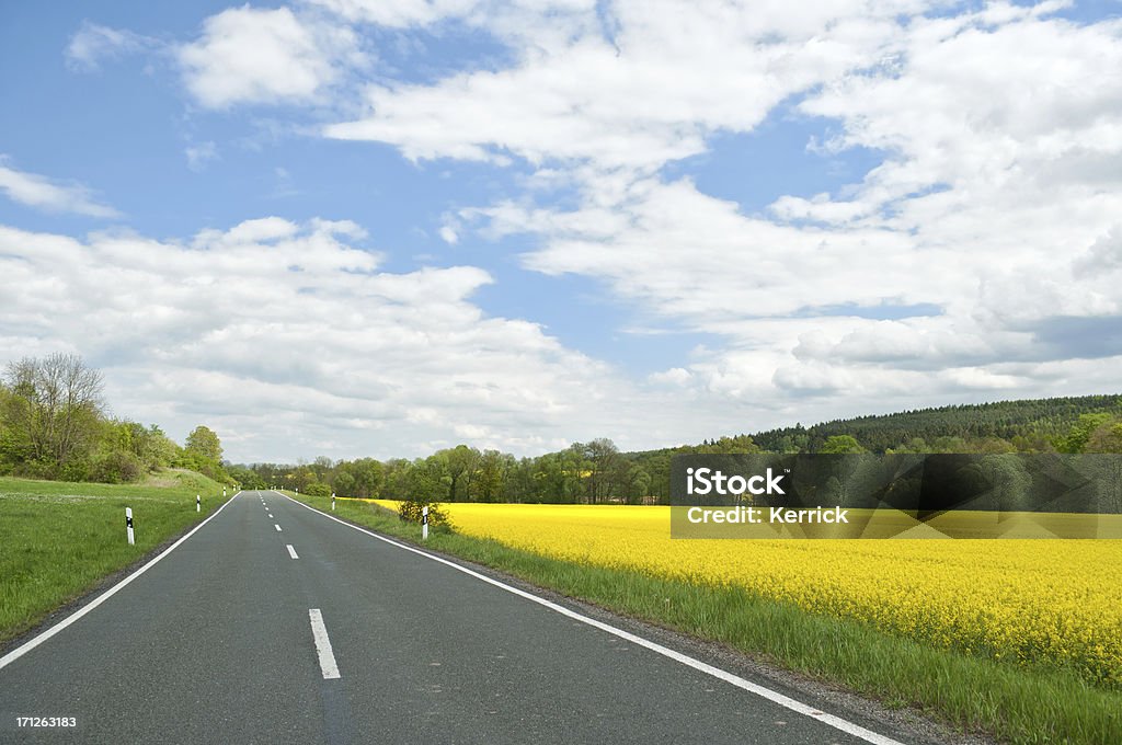 Typisch deutsche landschaft mit rapsfeld - Lizenzfrei Deutsche Kultur Stock-Foto