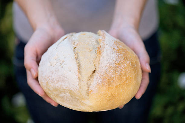 istock Freshly baked bread in woman's hands 171263390