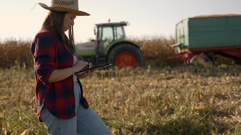 SLO MO on Corn Field during Summer