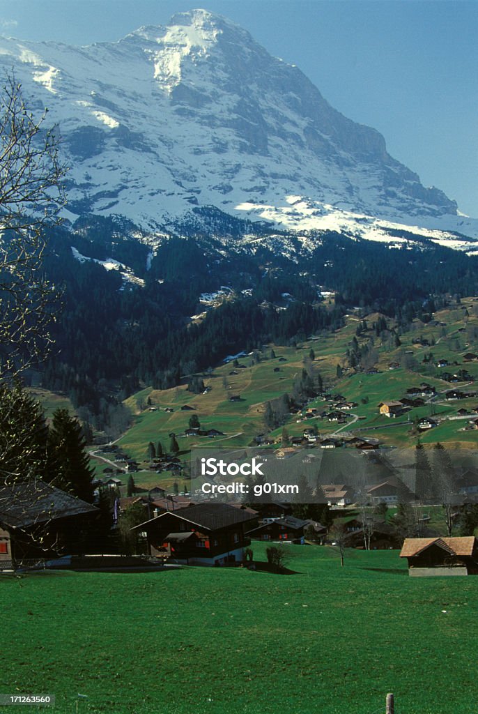 Paisagem nos Alpes Suíços - Foto de stock de Agricultura royalty-free