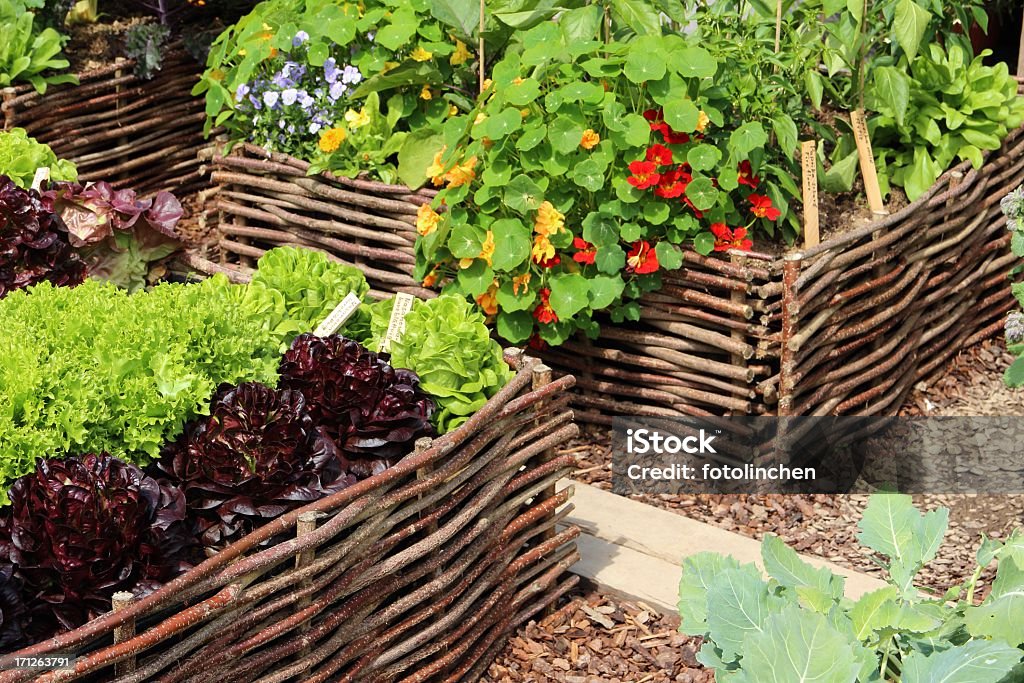 Kräuter und Gemüse - Lizenzfrei Alternative Medizin Stock-Foto