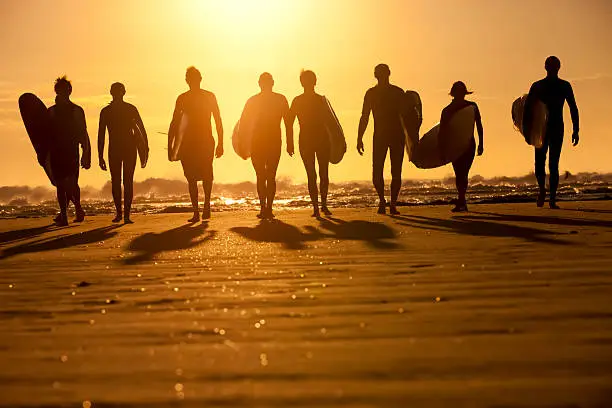 A group of surfers silhouetted by the morning sun.