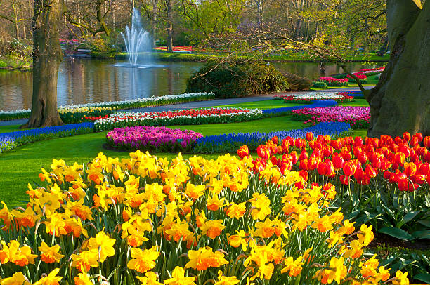 fiori di primavera in un parco - fountain landscaped ornamental garden flower bed foto e immagini stock