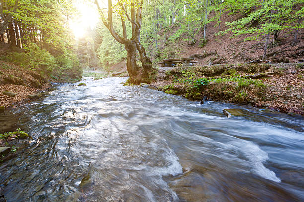 cascada'shipot'carpatian - letchworth garden city fotografías e imágenes de stock