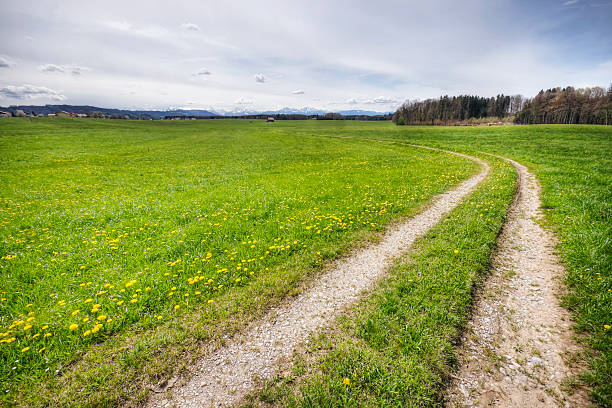 istock Country Road Landscape 171265611