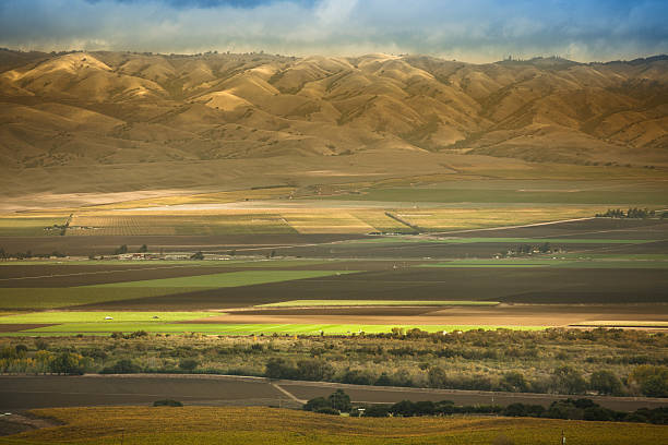 плодородные сельскохозяйственных земель в долине салинас калифорния, сша - salinas стоковые фото и изображения