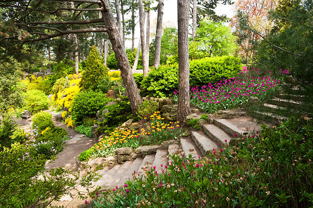 ステアズのロックガーデン - landscaped spring canada footpath ストックフォトと画像