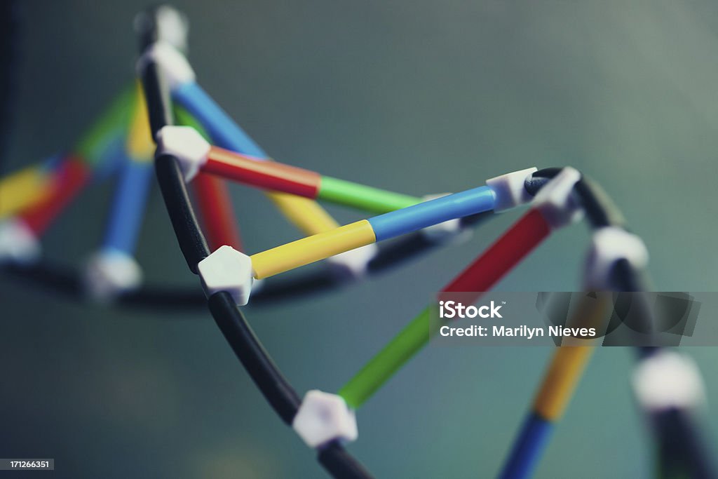 EL ADN - Foto de stock de ADN libre de derechos