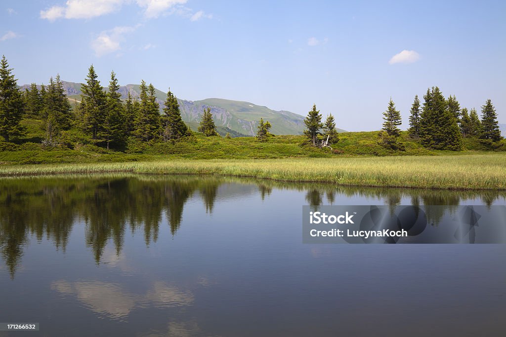 Frühling lacke auf die Berge - Lizenzfrei Alpen Stock-Foto