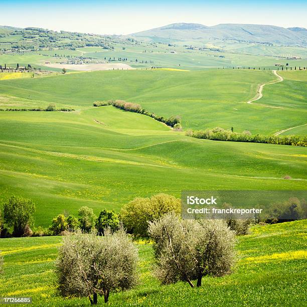 Toscana Trigo Paisagem Com Flor De Canola - Fotografias de stock e mais imagens de Aldeia - Aldeia, Ao Ar Livre, Canola