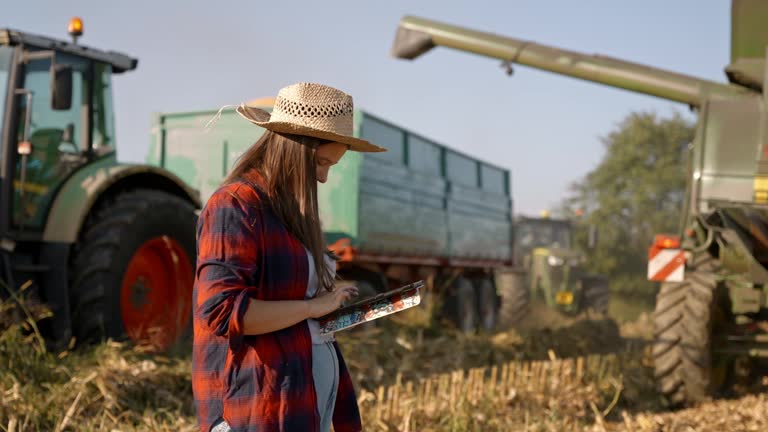 SLO MO Female Farmer Using Digital Tablet Near Combine Harvester and Trailer on Corn Field during Sunny Day