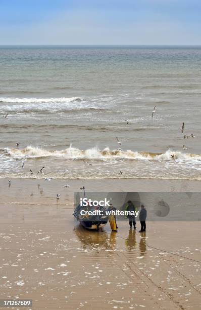 Gaviotas Y Pescadores Foto de stock y más banco de imágenes de Barco pesquero - Barco pesquero, Pescador, Reino Unido