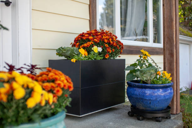 istock Fall flowers decorate the front door stoop of a house. 1712679834