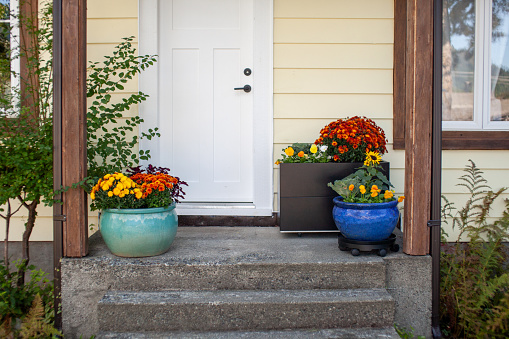 Fall flowers decorate the front door stoop of a house. Planters filled with fall colors make a perfect entryway