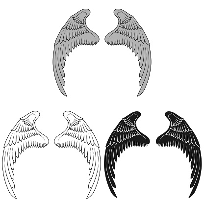 Vector design of angel wings, bird wings for decoration