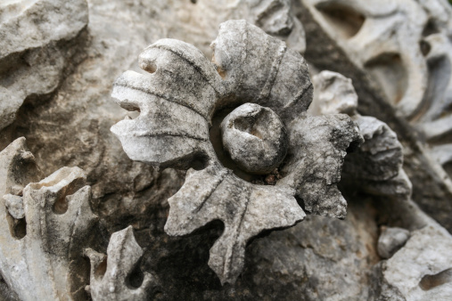 ancient flower in marble.