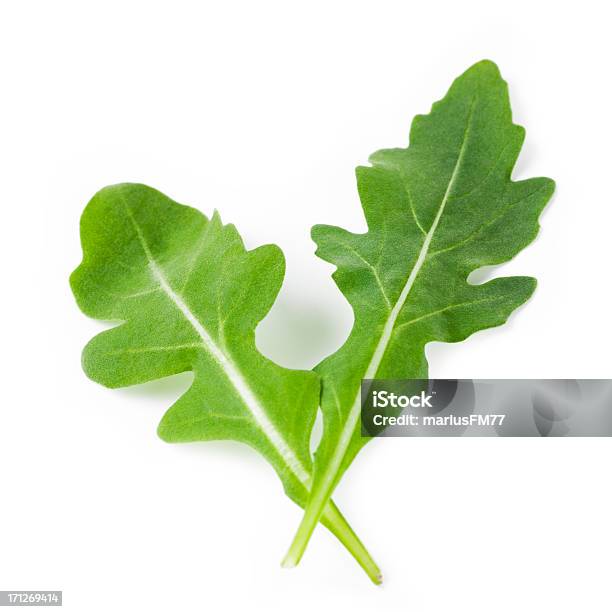 Rocket Stock Photo - Download Image Now - Arugula, Cut Out, White Background