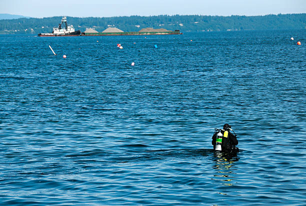 istock Scuba diver wading into Puget Sound at Edmonds WA 171269908