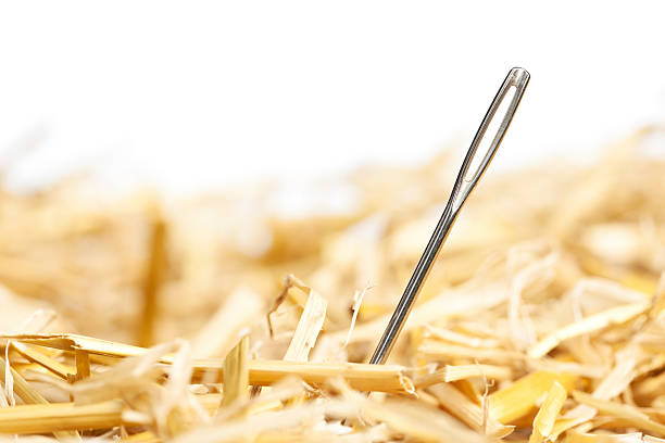 istock A close-up of a single needle in a haystack 171270770