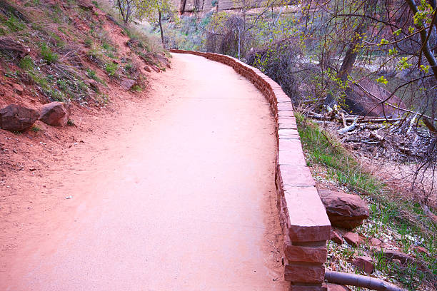 istock Zion National Park, Utah, USA 171271004