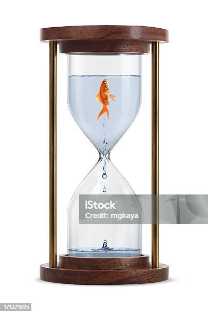 Goldfisch In Sanduhr Stockfoto und mehr Bilder von Eieruhr - Eieruhr, Wasser, Uhr