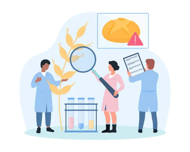 Vector illustration of Gluten allergy, celiac disease, tiny people research wheat plant with magnifying glass
