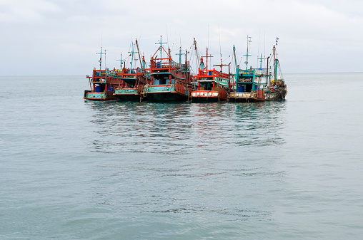 Fishing/squid boats tied up in a harbor in the Gulf of Thailand
