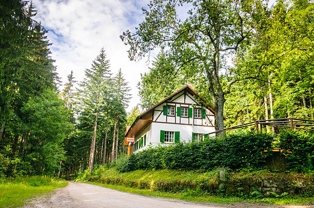 Neat solitary  house at a dirt road in the woods.  Horizontal orientation.