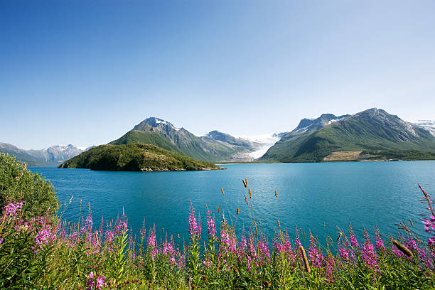 Norwegian fjord stock photo