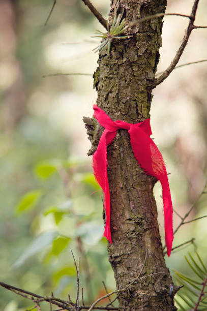 istock Red Ribbon in the forest 171274025