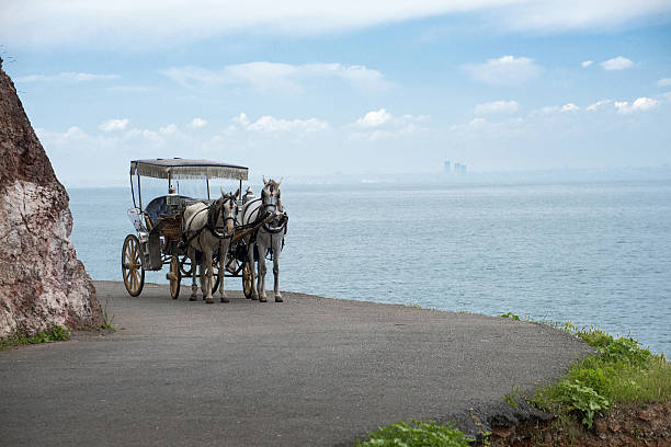 Horse Cart Horse with a carriage in landspace.  buggy eyes stock pictures, royalty-free photos & images