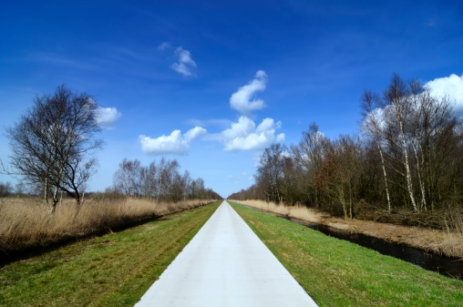 Bicycle path through a nature reserve in Friesland, The Netherlands.
