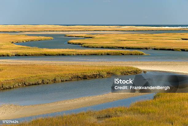 Cape Cod Humedales Foto de stock y más banco de imágenes de Provincetown - Provincetown, Agua, Agua estancada