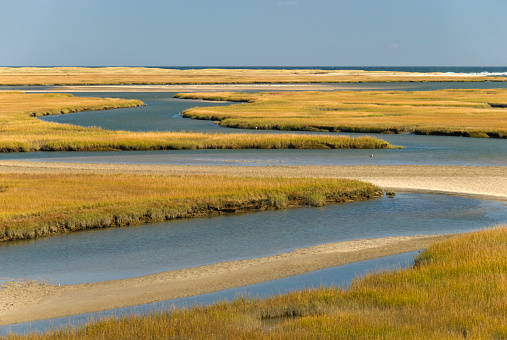 Salt marsh on the Cape Cod National seashore.
