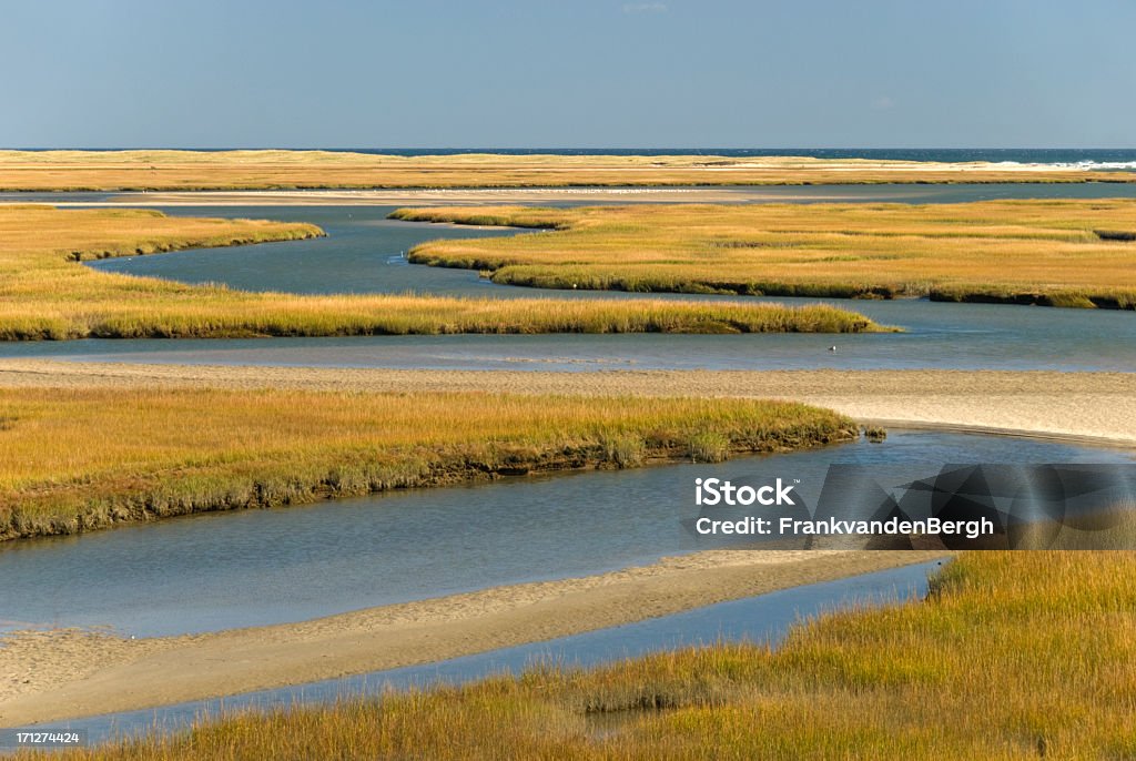 Кейпкод водно-болотных угодьях - Стоковые фото Провинстаун роялти-фри