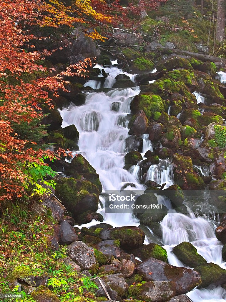 Cascada - Foto de stock de Agua libre de derechos