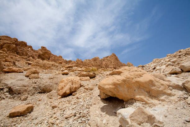 Beautiful desert landscape