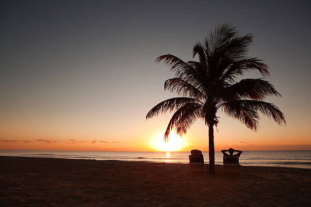 nascer do sol no paraíso tropical caribe férias na praia - beach tourist resort mexico tropical climate - fotografias e filmes do acervo