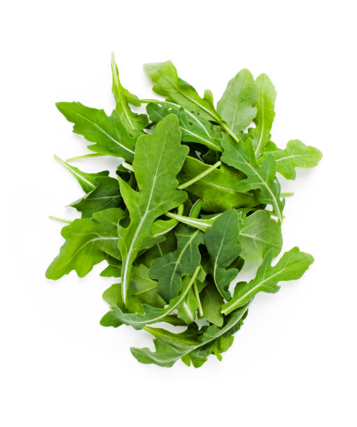 rocket wet rucola over white arugula stock pictures, royalty-free photos & images