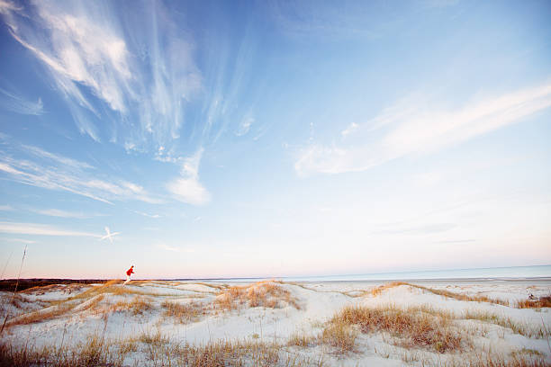 jovem saudável homem correndo na praia ao pôr do sol - cumberland island - fotografias e filmes do acervo