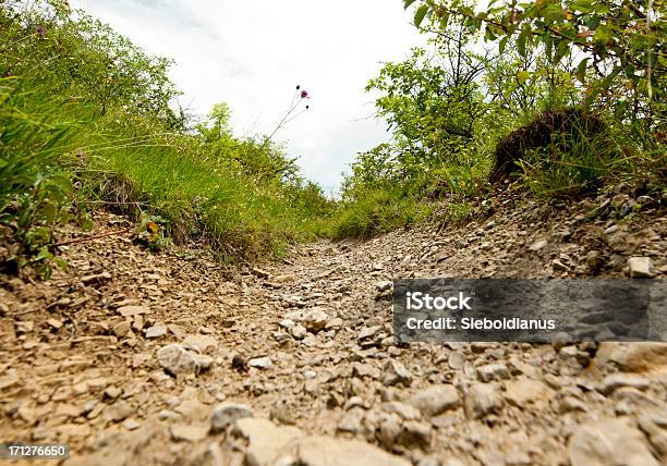 Low Angle View Of Stony Path For Downhill Mountain Biking Stock Photo - Download Image Now