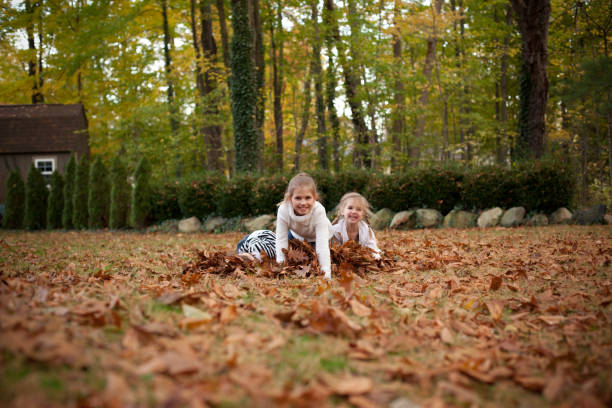 no mesmo nível juntos no outono folhas - preschooler autumn beautiful blond hair imagens e fotografias de stock