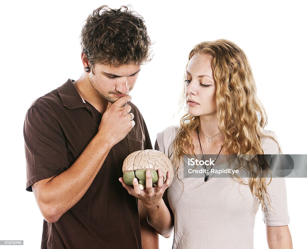 Gut aussehende junge Paar Modell Gehirn sorgfältig studieren - Lizenzfrei Akademisches Lernen Stock-Foto