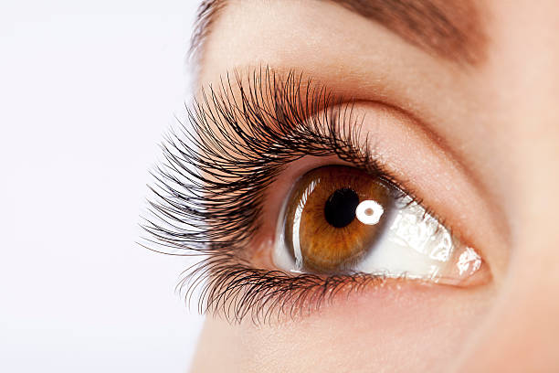 Close up studio shot of woman's eye