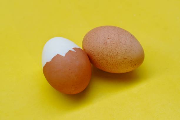 istock boiled egg isolated on yellow background. Hard boiled egg on isolated background. Breakfast concept 1712771171