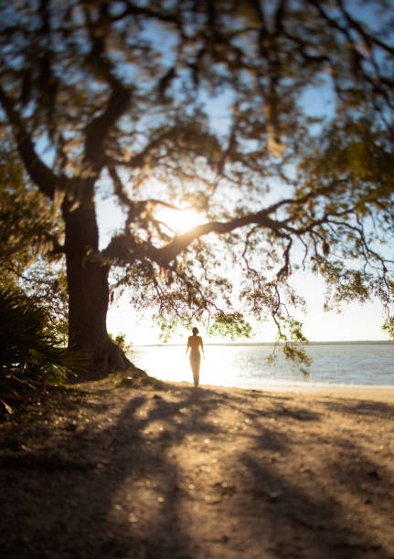 controluce donna in piedi dalla spiaggia - cumberland island foto e immagini stock