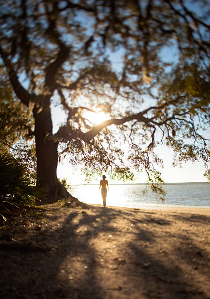 Back Lit Woman Standing by the Shore "Back lit young woman standing under large Oak tree. Shot during sunset close to shore on Cumberland Island, GA. Tilt/shift lens." cumberland island georgia photos stock pictures, royalty-free photos & images