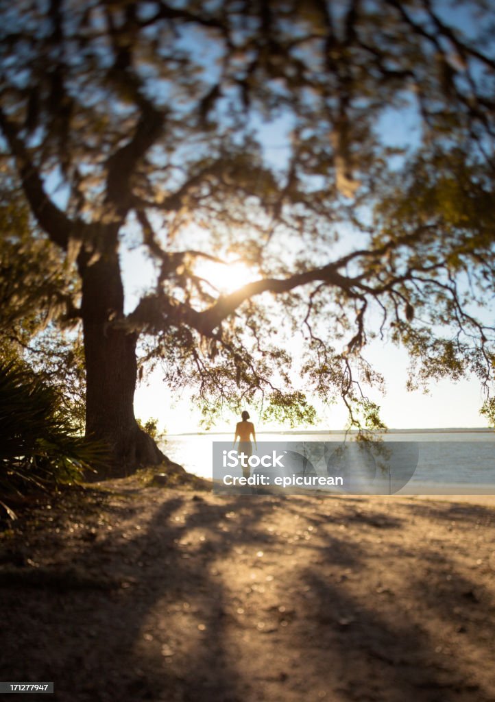 Contraluz mulher em pé na praia - Foto de stock de Geórgia - Sul dos Estados Unidos royalty-free